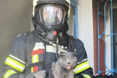 Kayseri İtfaiyesi yangından 6 kediyi kurtardı