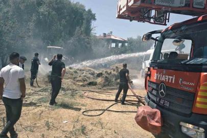Van’da ot yangını