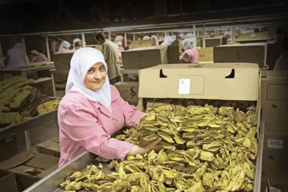 Ege İhracatçı Birlikleri ihracat rekorlarını otomatiğe bağladı