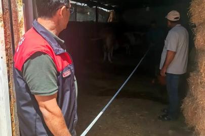 Elazığ’da büyükbaş işletmeleri denetlendi