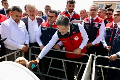 Hayvancılıkta dijital dönem... GEKİS Kars'ta uygulamaya alındı