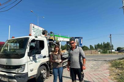 Iğdır’da doğada halsiz bulunan kerkenez koruma altına alındı
