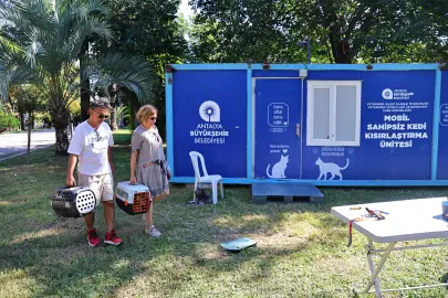 Antalya'da hayvan dostu çalışmaları sürüyor