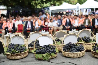İzmir Karabağlar’da Kavacık Üzüm Festivali coşkusu