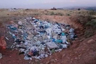 Köylünün çöp tepkisi: "Bu sene iki danamız telef oldu"