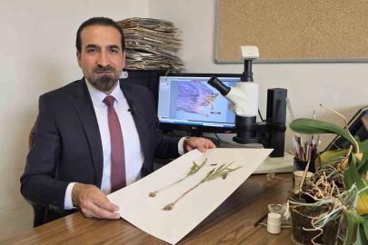 Muş’ta yetişen yeni bitki türü keşfedildi