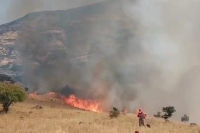 Nazımiye’de orman yangınına havadan ve karadan müdahale