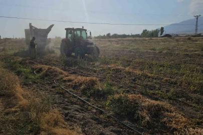 Tarımın kalbi Adilcevaz’da fasulye hasadına başlandı