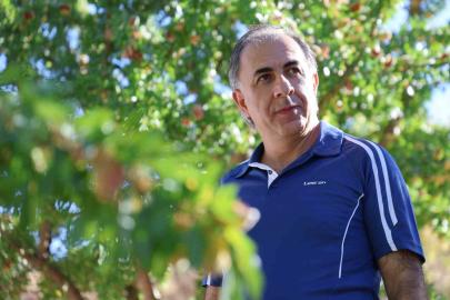 Tekstil Mühendisi, arpa tarlasını 9 yılda Fransız badem bahçesine dönüştürdü